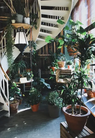Image from the studio